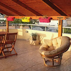 https://friends-terrace.albaniahotels.org